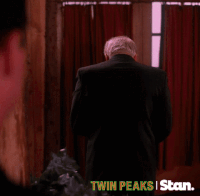 twin peaks GIF by Stan.