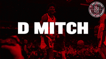Mens Basketball Dillon Mitchell GIF by St. John's Red Storm