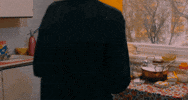 Cat Film GIF