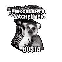 Excelente Sticker by Leiagora