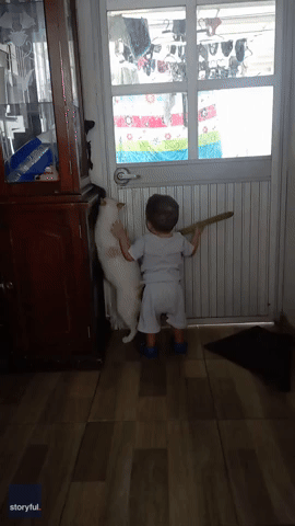 Toddler and Cat Join Forces for Great Escape