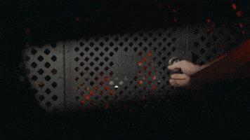 Dog Tesla GIF by FullMag