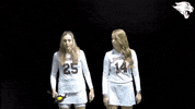 d3lax GIF by CUCougars