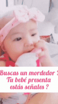 jrojasmo giphygifmaker GIF