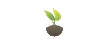 sementescerquinha plant seeds sementes cerquinha Sticker