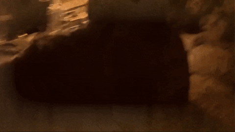 Chicago Dc GIF by Casanova Records