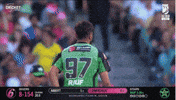 Melbourne Stars Celebration GIF by StarsBBL