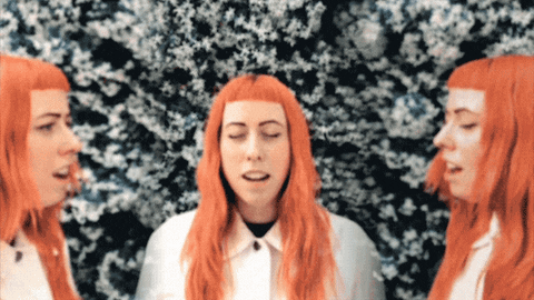 subpoprecords giphyupload august sub pop subpop GIF