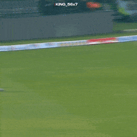 Babar Azam Catch GIF