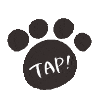 Cat Tap Sticker by IN-TEX