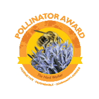 Bee Honey Sticker by Woodland Park Zoo