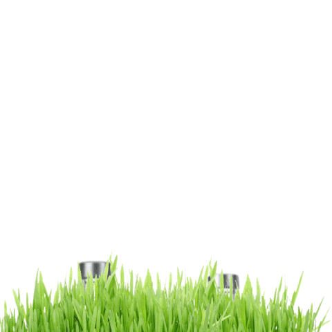 Summer Cheers Sticker by Absolut Vodka