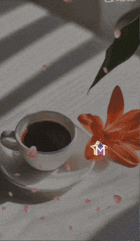 Amigos Flores GIF by Murcianys LLC