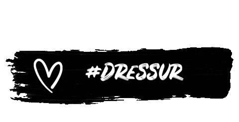 Horse Dressage Sticker by kleaheart