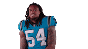 National Football League Wow Sticker by Carolina Panthers