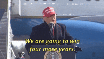 Donald Trump GIF by Election 2020