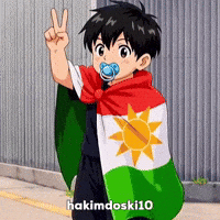 Kurdistan Kurd GIF