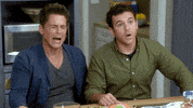 grinder fox GIF by The Grinder