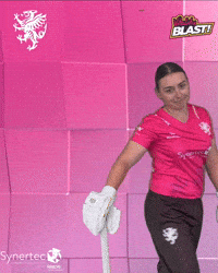 T20 Vitality Blast GIF by Somerset County Cricket Club