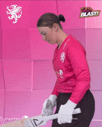 T20 Vitality Blast GIF by Somerset County Cricket Club