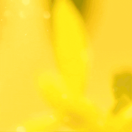 Blooming Daisy Flower GIF by TeaCosyFolk