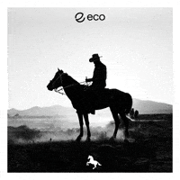 To The Moon Crypto GIF by Eco