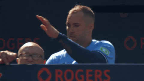 Blue Jays Dancing GIF by Toronto Blue Jays