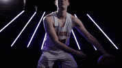 Purple Aces Evansville GIF by UE Athletics