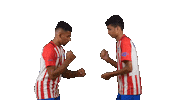 Football Soccer Sticker by Gulf United FC