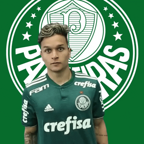 artur se arrumando GIF by SE Palmeiras