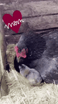 Baby Love GIF