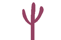 Pi Phi Cactus Sticker by Pi Beta Phi Fraternity for Women