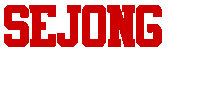 Sjng Sticker by Sejong Taekwondo
