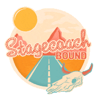 Stagecoach Festival Sticker by AEG Presents