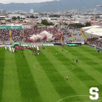 costa rica clasico GIF by Deportivo Saprissa
