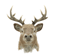 Robots Hunting Sticker by Woodblock