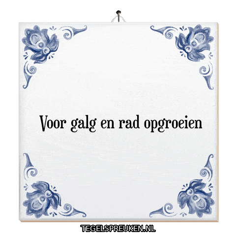 Wijsheid Reflectie Sticker by Tegelspreuken.nl