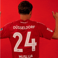 Bundesliga Tor GIF by Fortuna Düsseldorf