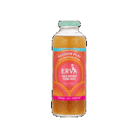 Yerba Mate Cheers Sticker by Erva Brew Co.