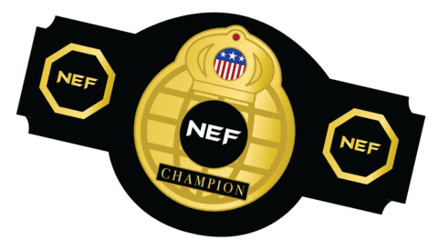 Mixed Martial Arts Mma Sticker by NEFights