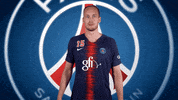 hell yeah yes GIF by Paris Saint-Germain Handball