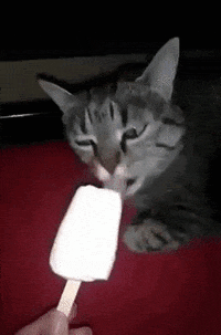 brain freeze GIF by ViralHog