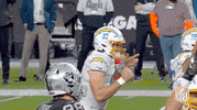 Regular Season Football GIF by NFL
