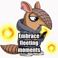 Wisdom Appreciation GIF by Chillo Dillo