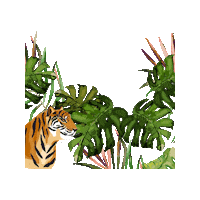 Sumatran Tiger Sticker by RER