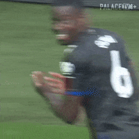 Premier League What GIF by Crystal Palace Football Club