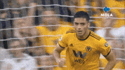 Premier League Football GIF by MolaTV