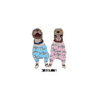 toothandhoney dogs toothandhoney tooth honey dogs sweater Sticker