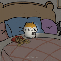 Night Sleeping GIF