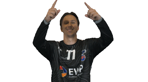 Goal Bundesliga Sticker by 1. VFL Potsdam